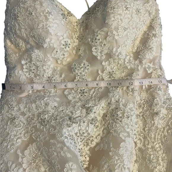 Elegant Lace Wedding Dress - Picture 16 of 16